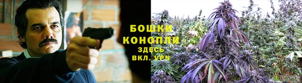 Альфа ПВП Абаза