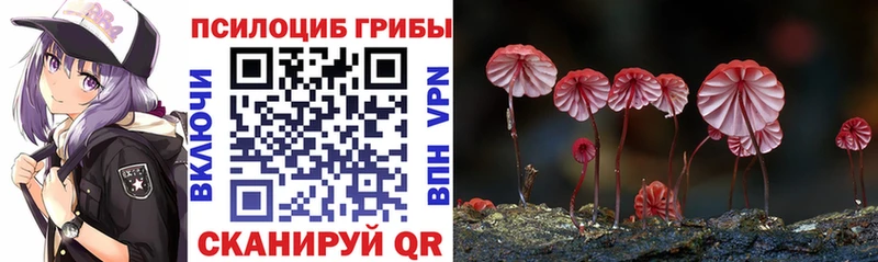 Псилоцибиновые грибы GOLDEN TEACHER  Сарапул 