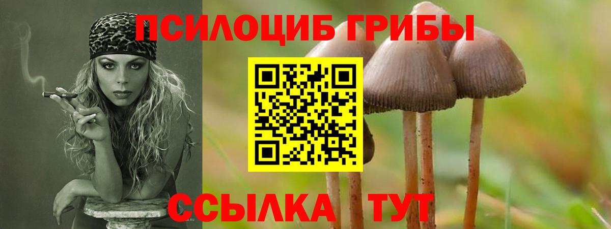Сарапул  Галлюциногенные грибы MAGIC MUSHROOMS  Вход с VPN  Галлюциногенные грибы мухоморы 